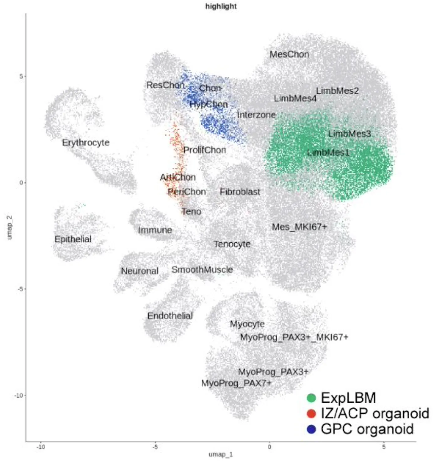 single-cell RNA-seqによる骨格アセンブロイドの細胞状態解析