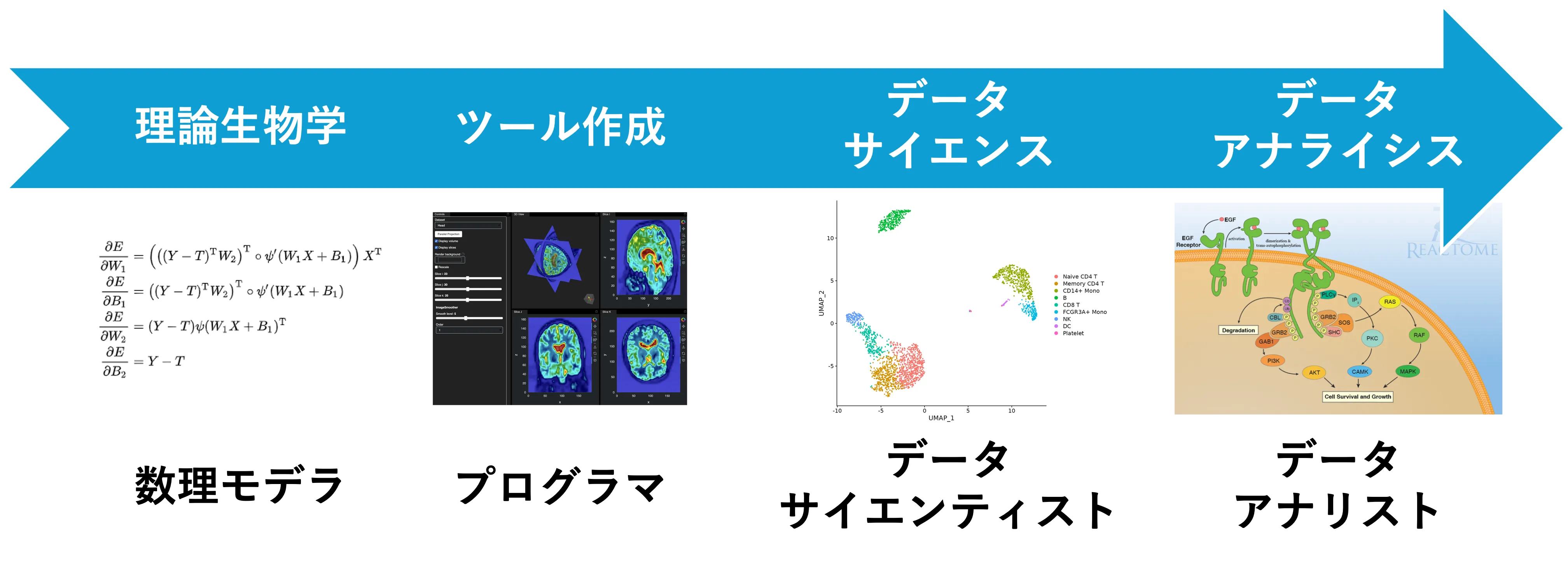 当研究室におけるバイオインフォマティクスとデータサイエンスの使い分け